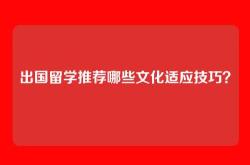 出国留学推荐哪些文化适应技巧？