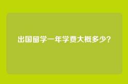 出国留学一年学费大概多少？