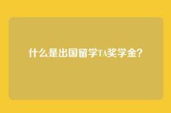 什么是出国留学TA奖学金？