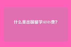 什么是出国留学SEVIS费？