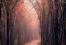 什么时间申请出国留学最好？