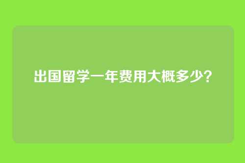 出国留学一年费用大概多少？