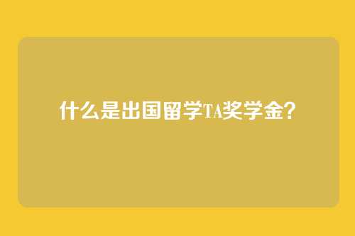 什么是出国留学TA奖学金?