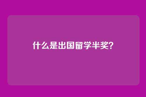 什么是出国留学半奖？